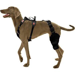 Dog Knee Brace with Cruciate Ligament Injuries ACL Keeps Joints Warm & Stable M